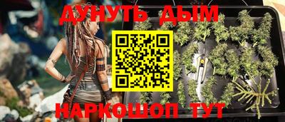 гашик Славгород