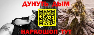 крисы Славянск-на-Кубани
