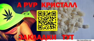 гашик Славгород