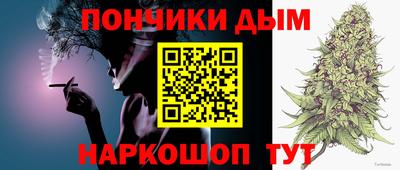 гашик Славгород