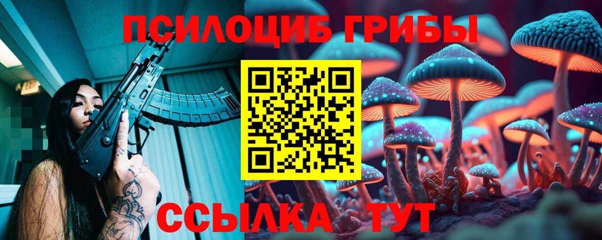 Брянск  Псилоцибиновые грибы MAGIC MUSHROOMS  купить   Вход с VPN  Галлюциногенные грибы Cubensis 